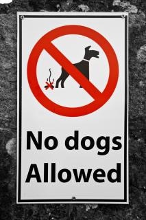 no dogs allowed essay 1 does the town have enough funding in order to put in a dog park it takes money we would need to hire landscapers, construction workers, ect not only. no dogs allowed essay 1 does the town have enough funding in order to put in a dog park it takes money we would need to hire landscapers, construction workers, ect not only.