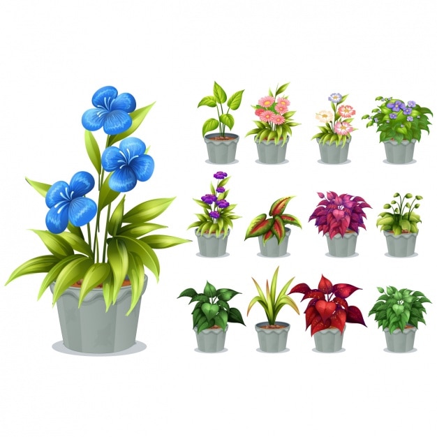 Pot Vectors, Photos and PSD files | Free Download