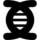 cadena de l adn cadena de adn fotos y vectores gratis cadena de l adn cadena de adn fotos y vectores gratis