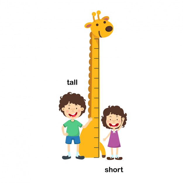 Small vs tall pictures