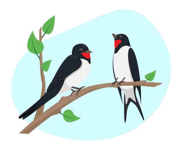 Two swallow