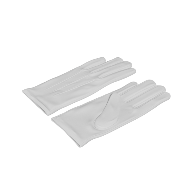Thumbnail-https://img.freepik.com/3d-models/v2/2/I/O/F/O/1/M/2IOFO1MF/gloves-poster-2.png?t=st=1752358867~exp=1752362467~hmac=96f0462e682dfdb3976a2b943d5570ed5911f3f0935957c972cd9c2cd78cc887