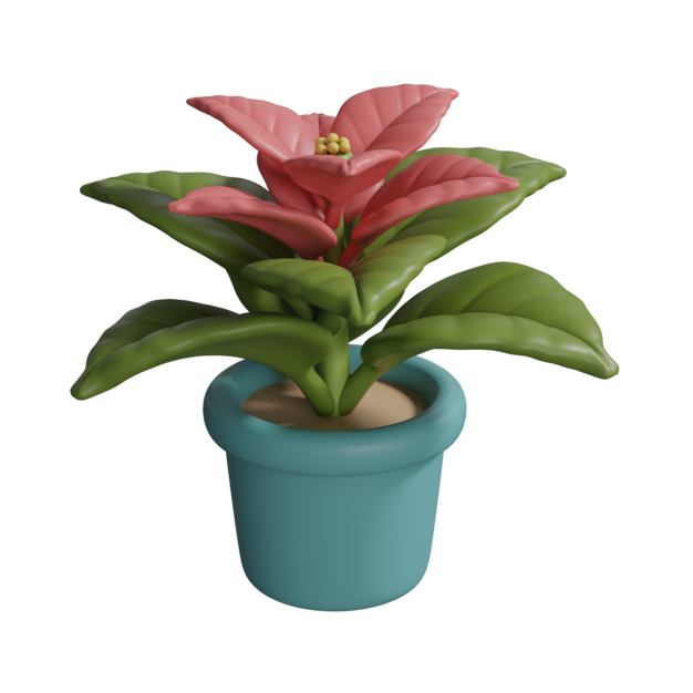 Icono de planta de nochebuena