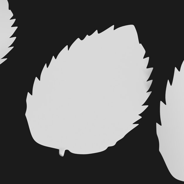 Thumbnail-https://img.freepik.com/3d-models/v2/4/D/W/C/R/6/A/4DWCR6AY/leaf-beauty-2.png?t=st=1752376294~exp=1752379894~hmac=33d5fd9fd6100e117441150d27cff4bc1789ed77d3162d317e59fc6967966738