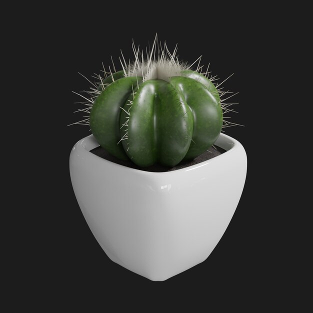 Thumbnail-https://img.freepik.com/3d-models/v2/4/Y/0/M/R/L/D/4Y0MRLDV/cactus-plant-beauty-1.png?t=st=1752466288~exp=1752469888~hmac=b5fcbad3b17325ae966a72aa576076d23cb89ad122c58fab2acf3b720b53615a