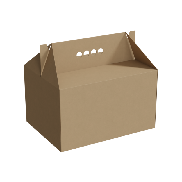 Caja de cartón