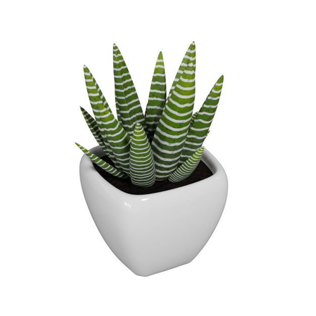 Thumbnail-https://img.freepik.com/3d-models/v2/6/Z/V/R/L/M/F/6ZVRLMFB/striped-succulent-poster-2.png?t=st=1752438830~exp=1752442430~hmac=486c0282ed0b77edb3949a03d5dddb0e9c8bd67e9d46030e3bd8a6009717d9c0