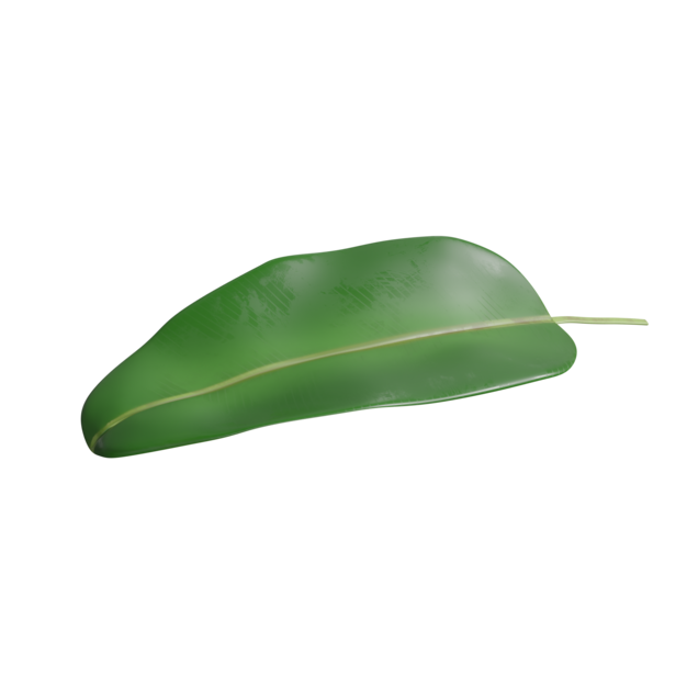 La planta