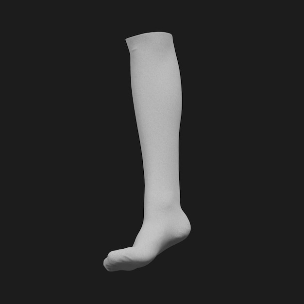 Thumbnail-https://img.freepik.com/3d-models/v2/9/W/W/F/O/5/5/9WWFO55J/soccer-socks-beauty-2.png?t=st=1752464981~exp=1752468581~hmac=0b73abe485140e8e546db7cf0d95e9d558b40a19ed7173e1c0676ef0bf0f4216