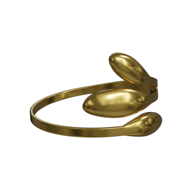 Anillo