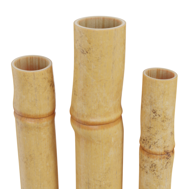 Thumbnail-https://img.freepik.com/3d-models/v2/B/D/X/N/I/3/Y/BDXNI3Y8/bamboo-trunks-poster-3.png?t=st=1752365828~exp=1752369428~hmac=61e0903d55e0c3108b46225e003d1c121a08a5fb5a36c08194b59d012dbee95d