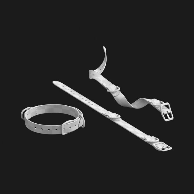 Thumbnail-https://img.freepik.com/3d-models/v2/C/B/R/G/O/V/M/CBRGOVM1/dog-collar-uv-1.png?t=st=1752425248~exp=1752428848~hmac=414da53c3656f2c666814cf4e7b4f3dd9fb5ce099b310e6f914e2f00bc721f4f