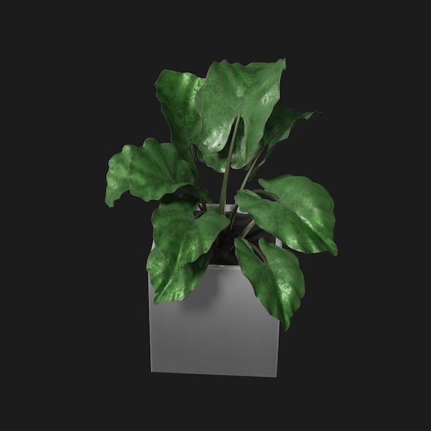 Thumbnail-https://img.freepik.com/3d-models/v2/C/W/G/8/L/Z/C/CWG8LZCW/plant-beauty-2.png?t=st=1752439093~exp=1752442693~hmac=6f9cc778c3a58aa28921eac6b8c654f497ca5531081325b814ea8dac81232317