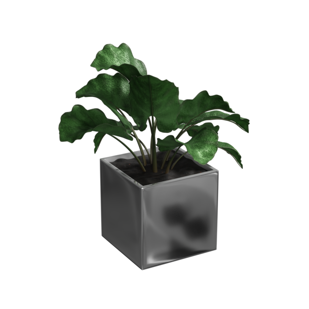 Thumbnail-https://img.freepik.com/3d-models/v2/C/W/G/8/L/Z/C/CWG8LZCW/plant-poster-1.png?t=st=1752439093~exp=1752442693~hmac=57830741cf1fc7a1876378f70e62852ee8daa2af9246b421d0797d519f209fce