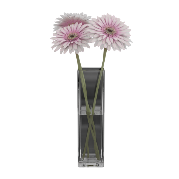 Thumbnail-https://img.freepik.com/3d-models/v2/D/E/K/H/D/U/S/DEKHDUSR/flower-vase-with-bicolor-gerber-flower-poster-2.png?t=st=1752345108~exp=1752348708~hmac=104828de739f6bf89dabd85888f98afe932b6f724a904f3df21f834eec04a790