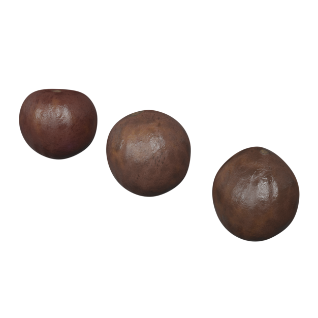 Thumbnail-https://img.freepik.com/3d-models/v2/G/O/M/2/S/Z/5/GOM2SZ50/tea-tree-seed-poster-2.png?t=st=1752392815~exp=1752396415~hmac=b9f338178609dc3ba36a713341488b122cba9e47254f7881405b0ef481df839f