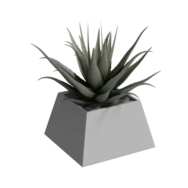 Thumbnail-https://img.freepik.com/3d-models/v2/H/S/0/Q/C/2/8/HS0QC28K/plant-poster-1.png?t=st=1752392324~exp=1752395924~hmac=904511f70bcf096980d754c28c3f4e2b04b970999a1ed4d2d6fb35d2796d9d52