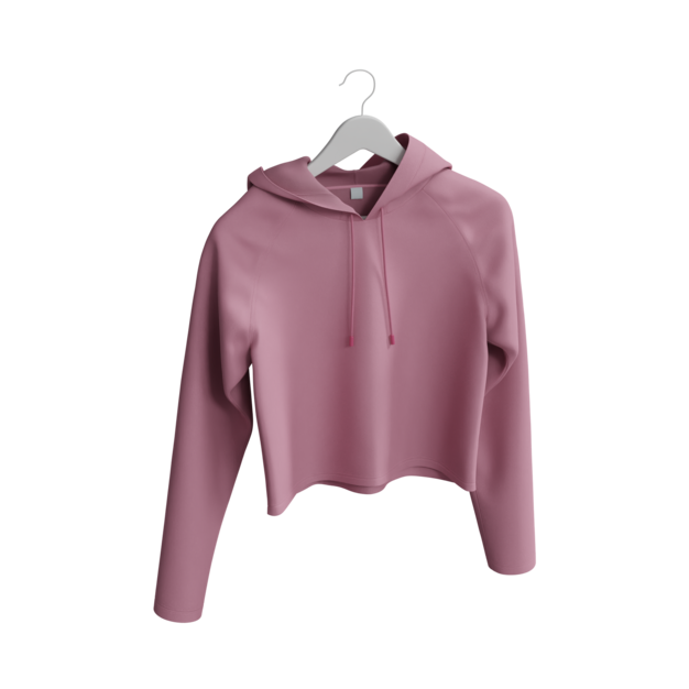 Crop Top Hoodie
