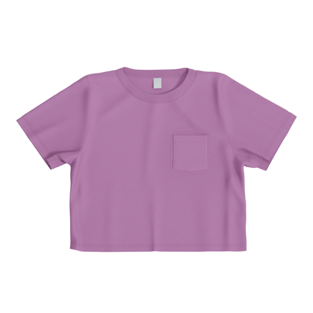 Thumbnail-https://img.freepik.com/3d-models/v2/I/I/2/Z/0/1/3/II2Z013J/woman-crop-top-poster-2.png?t=st=1752436672~exp=1752440272~hmac=3f791333acce4c1a196ebedf8b7c3c71690cd00c169249e26b63bf7cae6f7389