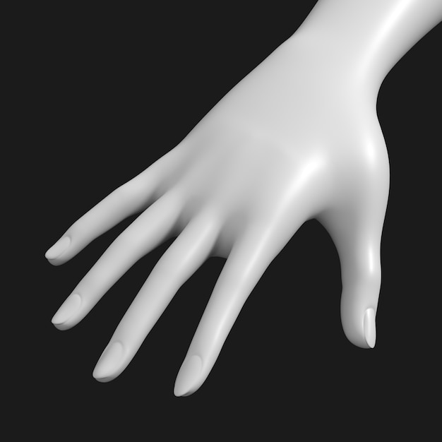 Thumbnail-https://img.freepik.com/3d-models/v2/J/V/I/2/7/N/E/JVI27NEI/hands-with-female-arms-beauty-2.png?t=st=1752401946~exp=1752405546~hmac=bd40d17d7227e1a23e6353cda350676447d669a5036f551e124f92c14c33e681