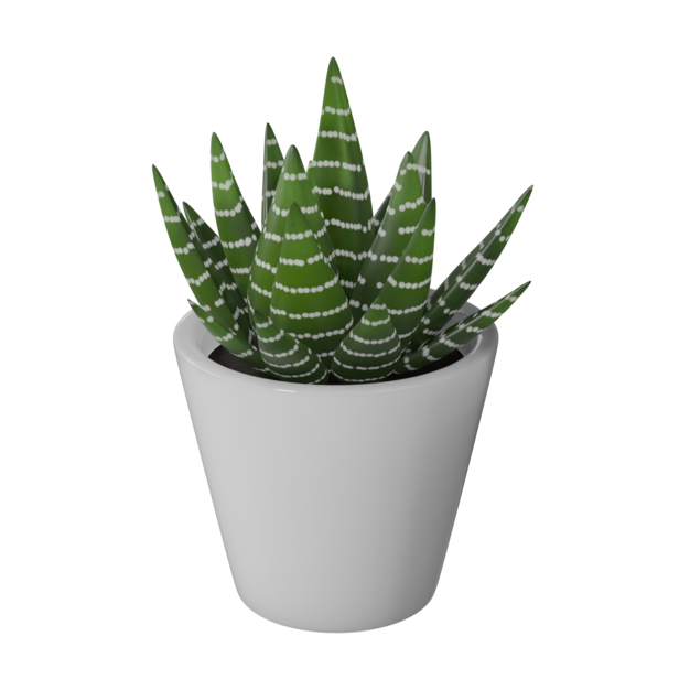 Thumbnail-https://img.freepik.com/3d-models/v2/K/H/8/3/1/Z/V/KH831ZVV/cactus-plant-poster-2.png?t=st=1752439019~exp=1752442619~hmac=0fe83a630cd8b824e0968569078b6c9436f10f60d05549145479858173b4ddbe