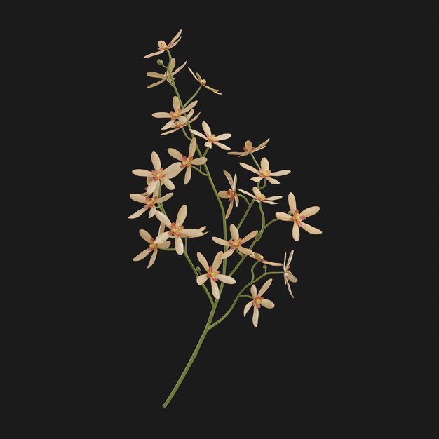 Thumbnail-https://img.freepik.com/3d-models/v2/L/8/4/P/X/D/6/L84PXD65/faux-flower-beauty-1.png?t=st=1752427265~exp=1752430865~hmac=957e9dcf90be100ada9d5645fc93c02689ac5ab312891bd55e54a008a7cc0860