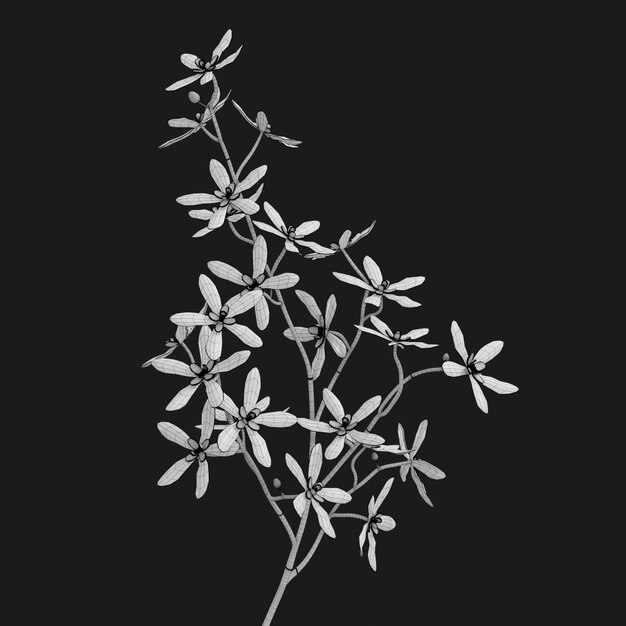 Thumbnail-https://img.freepik.com/3d-models/v2/L/8/4/P/X/D/6/L84PXD65/faux-flower-wire-2.png?t=st=1752427265~exp=1752430865~hmac=f7270ec694334874d41c7e406148999311bd57df08a5c7f7de19d345a2745c41