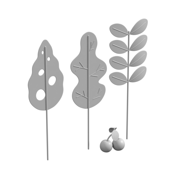Coffee Plant