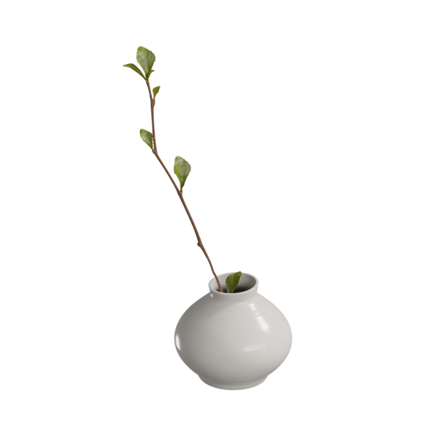 Rama de planta