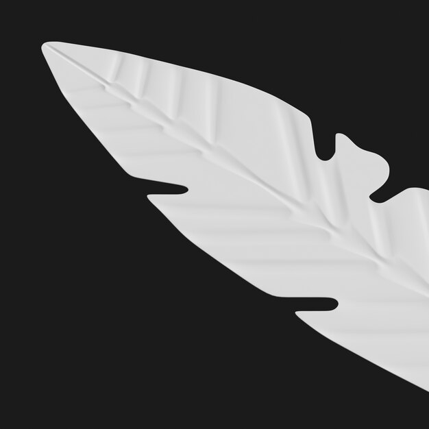 Thumbnail-https://img.freepik.com/3d-models/v2/O/K/K/4/1/B/V/OKK41BV3/feather-beauty-2.png?t=st=1752370768~exp=1752374368~hmac=72b52a681d30872781e936d3d8b96b71ee8cf71ee98f6e355039d74fb83a0d49
