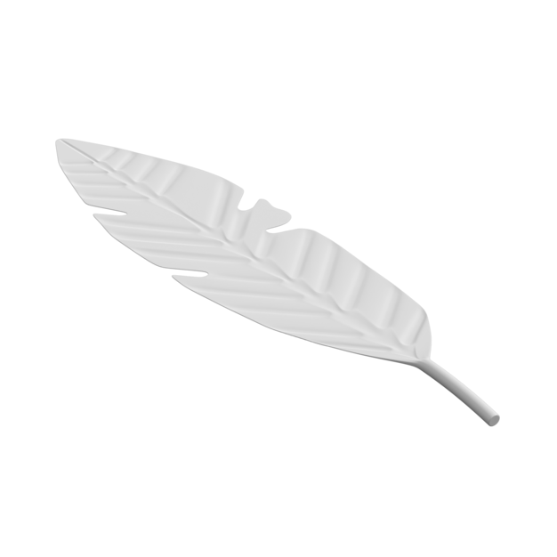 Thumbnail-https://img.freepik.com/3d-models/v2/O/K/K/4/1/B/V/OKK41BV3/feather-poster-1.png?t=st=1752370768~exp=1752374368~hmac=decbc93365c17961dbf5e46b9b887659a20dae7beec348b1b501f206df78ae34
