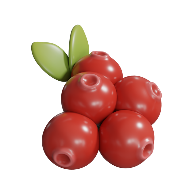 Icona mirtillo rosso