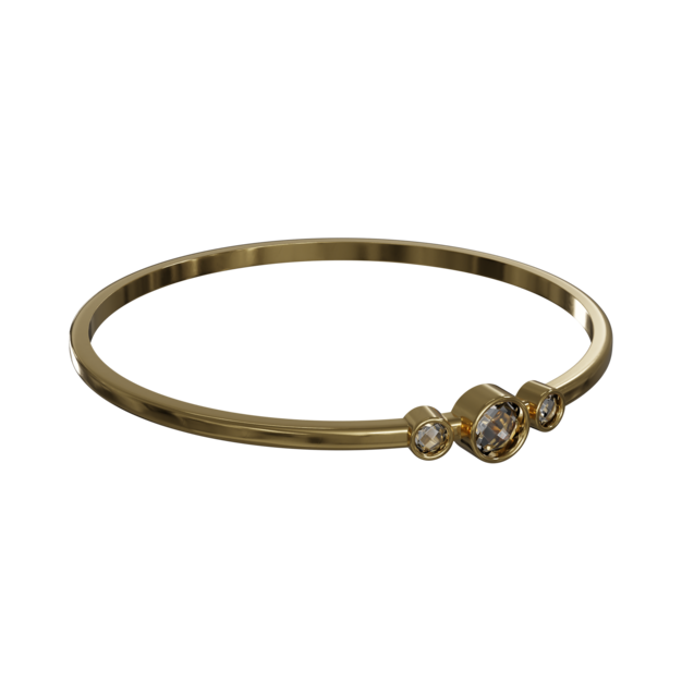 Anillo
