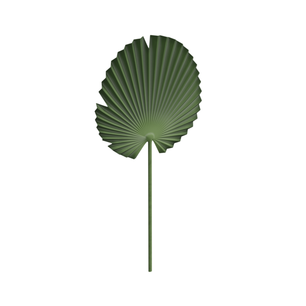 Thumbnail-https://img.freepik.com/3d-models/v2/P/V/J/4/U/6/M/PVJ4U6M0/plant-poster-1.png?t=st=1752617150~exp=1752620750~hmac=5e4a61e779f769d75696d0f064ab1c98264ff31dc79abca6899806faaebdd243