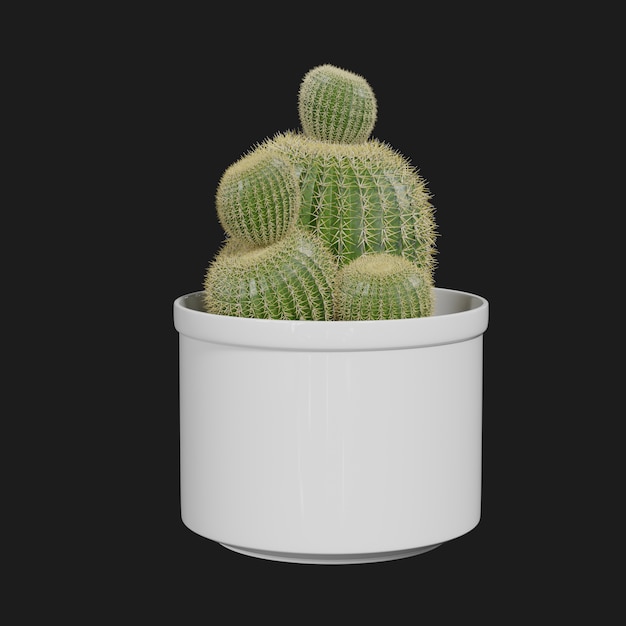 Thumbnail-https://img.freepik.com/3d-models/v2/Q/5/3/6/O/1/4/Q536O14V/cactus-plant-beauty-2.png?t=st=1752413022~exp=1752416622~hmac=2e50259e79b49c36e19508e107ff92b399199b0d0e879373424c05139ceaa713