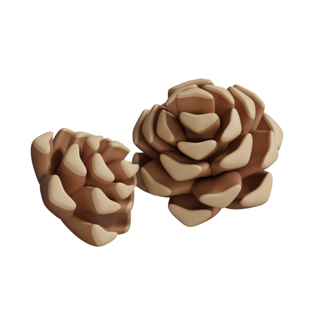 Thumbnail-https://img.freepik.com/3d-models/v2/Q/C/T/H/C/N/Z/QCTHCNZJ/pine-cones-icon-poster-1.png?t=st=1752399766~exp=1752403366~hmac=147db7862b1e2183bfb2eb0104f8074cbe7c754944c5e2db7af0177b9ac87cc7