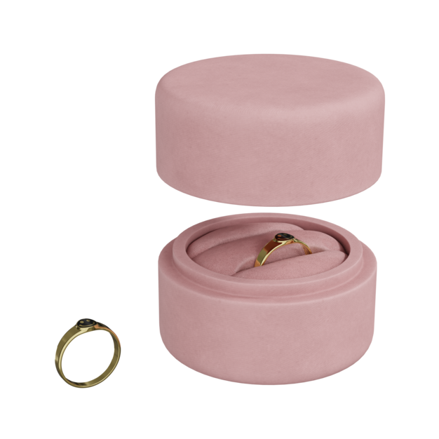 Thumbnail-https://img.freepik.com/3d-models/v2/Q/Y/G/M/F/F/A/QYGMFFA0/ring-poster-1.png?t=st=1752403734~exp=1752407334~hmac=77e97969c5b6ed25f19ae4c42a99a8922b35bb3d56f552dcfcd889fed781b1b9