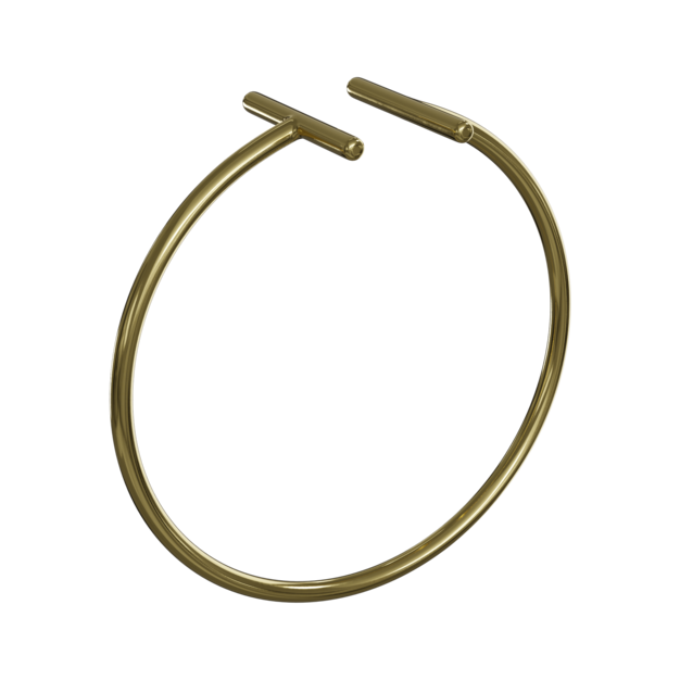 Anillo