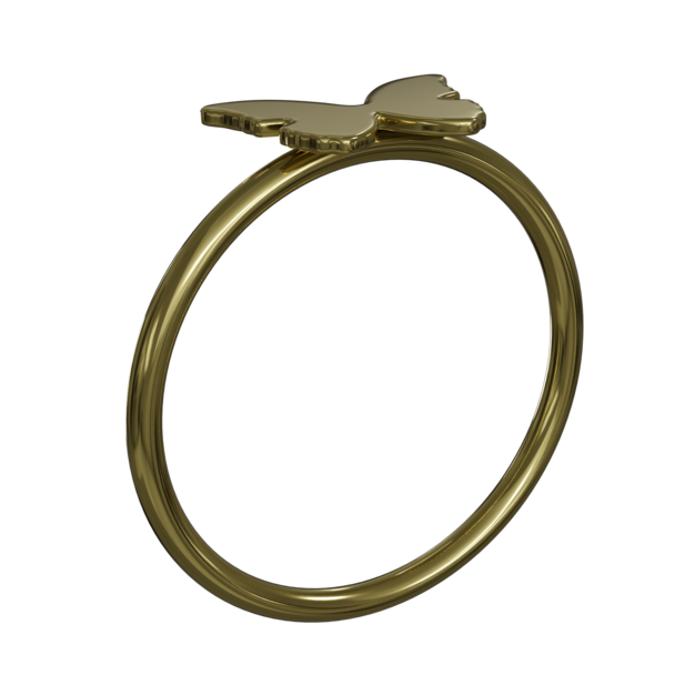 Anillo