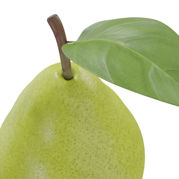 Thumbnail-https://img.freepik.com/3d-models/v2/S/G/9/T/8/B/V/SG9T8BVK/pear-fruit-poster-2.png?t=st=1752436224~exp=1752439824~hmac=4961c9651da29184521000cd3bfa0887ca99175c0794235cd39b1af2d8668c11