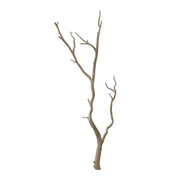 Thumbnail-https://img.freepik.com/3d-models/v2/S/U/K/A/I/R/2/SUKAIR2Y/branch-poster-2.png?t=st=1752425748~exp=1752429348~hmac=78729434149fef1fab291c9c64e981c03b2afc40652389bd39573bd0eb7e1df2