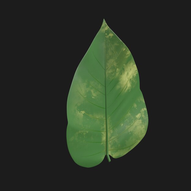 Thumbnail-https://img.freepik.com/3d-models/v2/S/U/T/6/E/A/E/SUT6EAEB/plant-beauty-1.png?t=st=1752372220~exp=1752375820~hmac=2f6364fe0fb8db5bf409aa316bc983c23fefdb53340306d3294007c7bcaac847