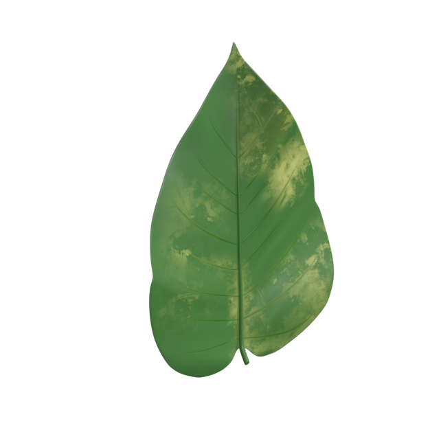Thumbnail-https://img.freepik.com/3d-models/v2/S/U/T/6/E/A/E/SUT6EAEB/plant-poster-1.png?t=st=1752372220~exp=1752375820~hmac=992efa1bc40584892fe2f5c09795247f2db2984901e4ee746ed4cc5b156c6a24