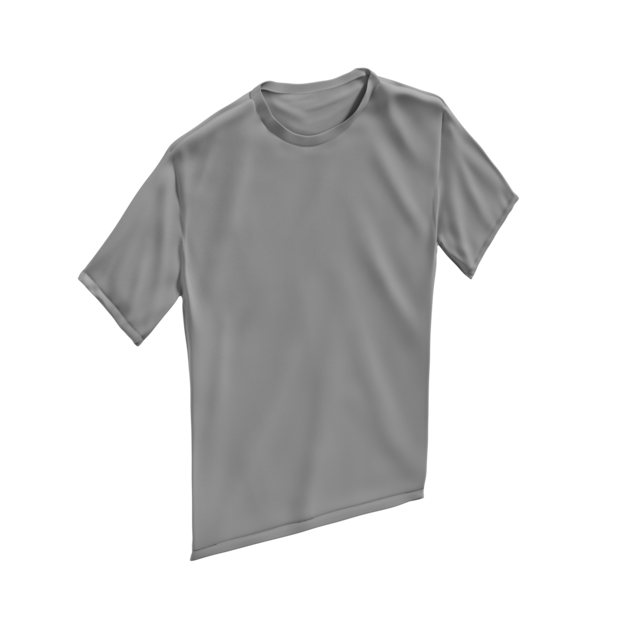 Camiseta de tipo T