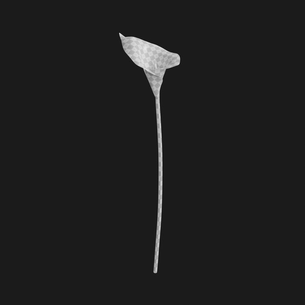 Thumbnail-https://img.freepik.com/3d-models/v2/T/C/Y/G/W/5/W/TCYGW5WG/calla-lily-uv-1.png?t=st=1752368851~exp=1752372451~hmac=95c5e0c83c28b0e695486d9f2c90409c3858af9b0ac4e51485e6ac7e86e492aa