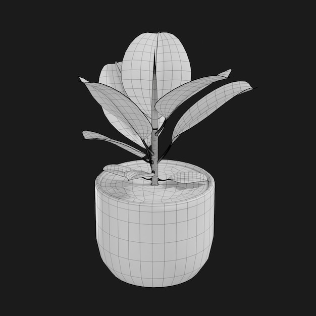 Thumbnail-https://img.freepik.com/3d-models/v2/T/K/9/4/0/3/T/TK9403TR/rubber-plant-wire-1.png?t=st=1752366865~exp=1752370465~hmac=517dcc8a6428c4483c935b2a4dc46f2094ec3cf3b185ea4d552805cd51fb2696