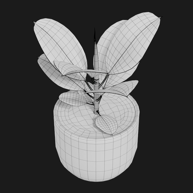 Thumbnail-https://img.freepik.com/3d-models/v2/T/K/9/4/0/3/T/TK9403TR/rubber-plant-wire-2.png?t=st=1752366865~exp=1752370465~hmac=ec802569f8baeb912129d8f7953cc614aeae03809aba3fec8e45b88148b5b365