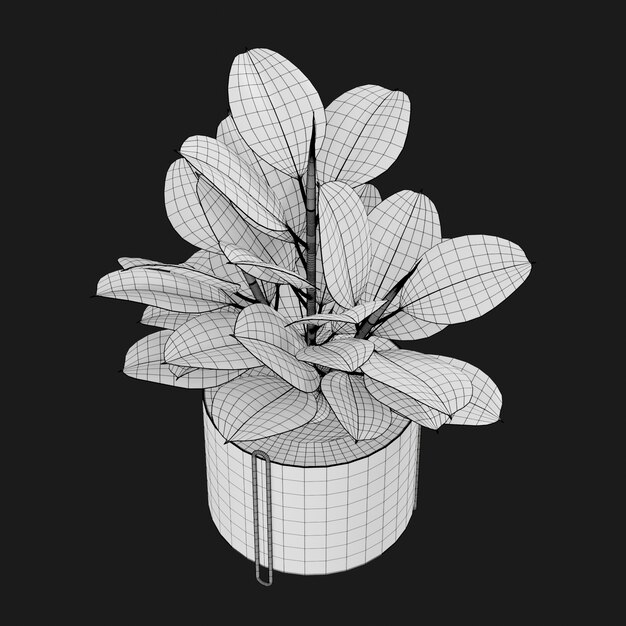 Thumbnail-https://img.freepik.com/3d-models/v2/T/K/I/D/O/F/X/TKIDOFX2/rubber-plant-wire-2.png?t=st=1752377260~exp=1752380860~hmac=aec8db518cdb300b5e6dab896055d8c431c50694da8fd00a5112f319bee55706