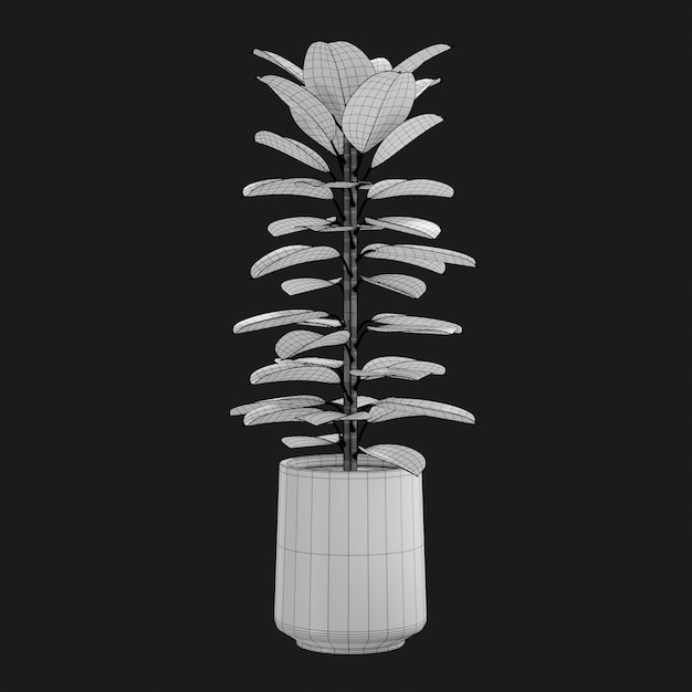 Thumbnail-https://img.freepik.com/3d-models/v2/T/K/Y/7/K/C/T/TKY7KCTL/rubber-plant-wire-3.png?t=st=1752392479~exp=1752396079~hmac=5ac6f80c75c184228d8761611967f339adae7f81405d3a23a7fffa3443a2a7eb