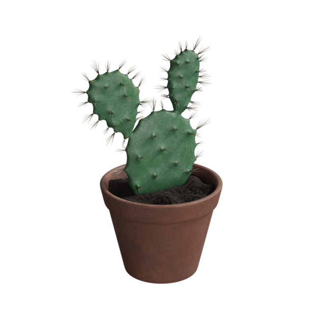 Thumbnail-https://img.freepik.com/3d-models/v2/T/Z/A/Q/V/I/0/TZAQVI04/cactus-plant-poster-1.png?t=st=1752425205~exp=1752428805~hmac=6a3e4ccd064a82f2c9a596f7be57bf3fa299713e61b97a3e0f16cfe3ac441ed4